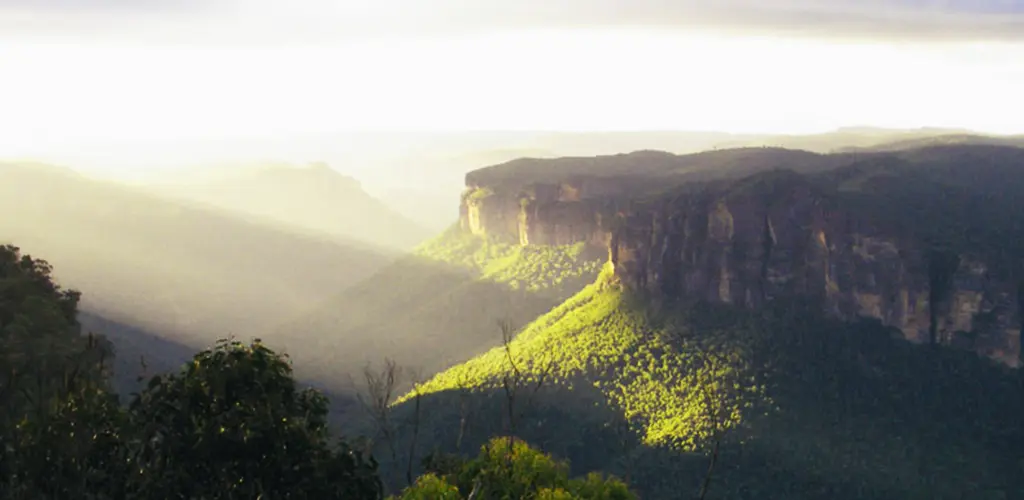 Header Banner