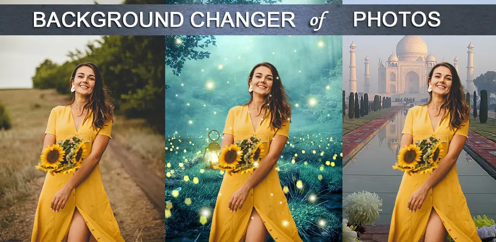 Header Banner