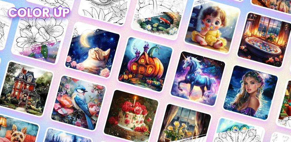 Header Banner