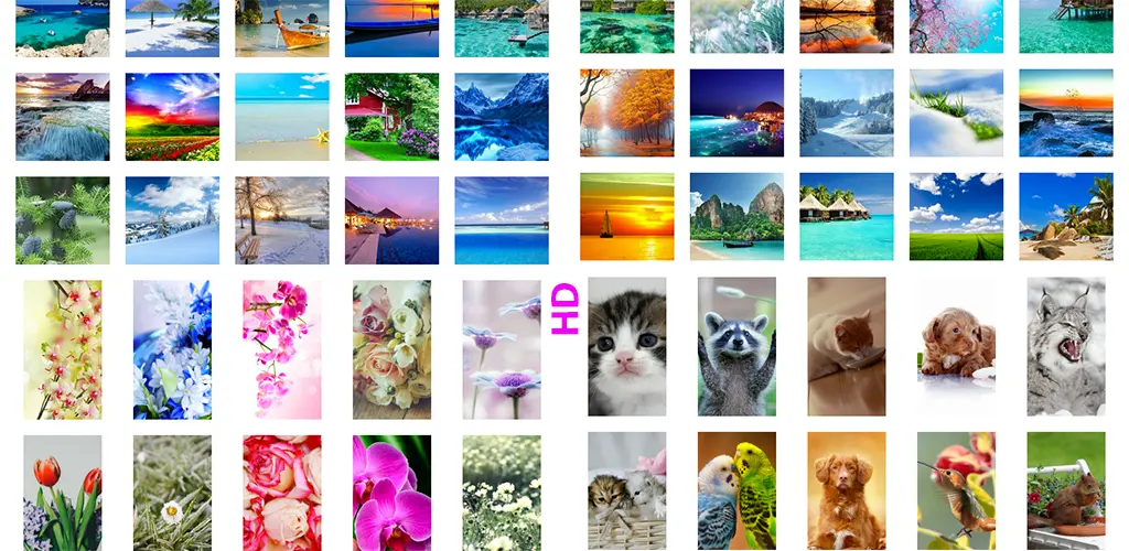Header Banner