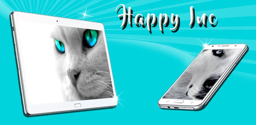 Header Banner