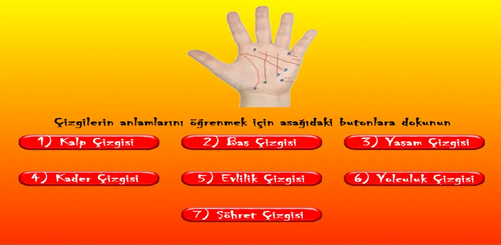 Header Banner