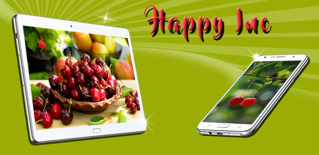 Header Banner