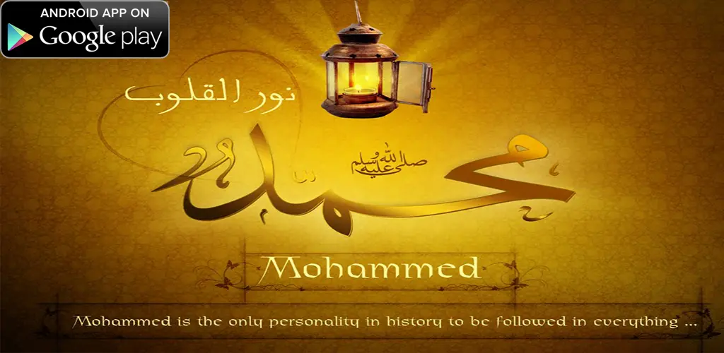 Header Banner