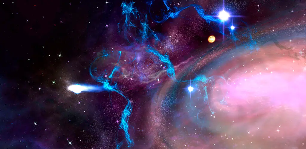 Header Banner