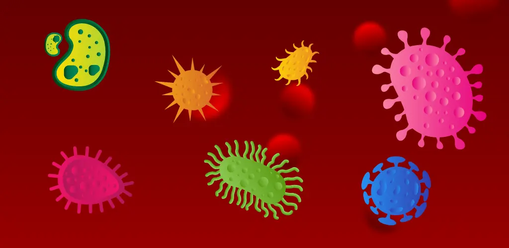 Header Banner