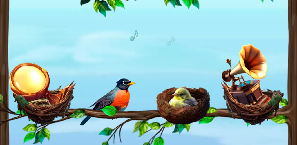 Header Banner