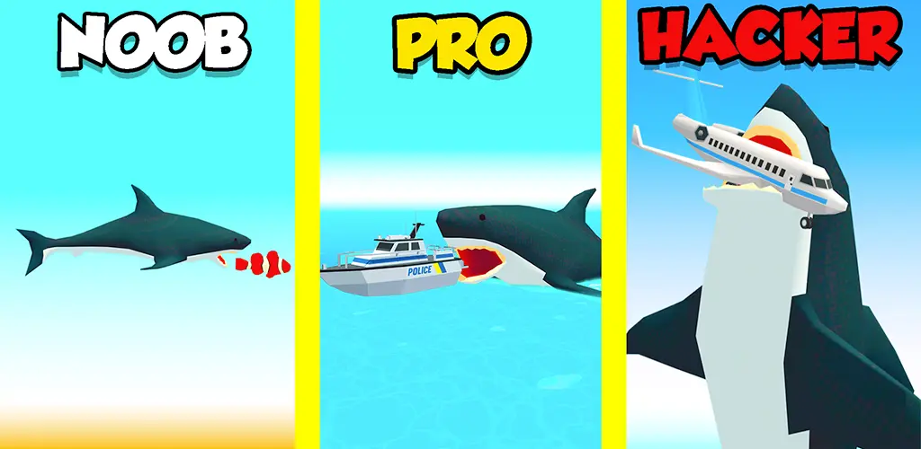 Header Banner