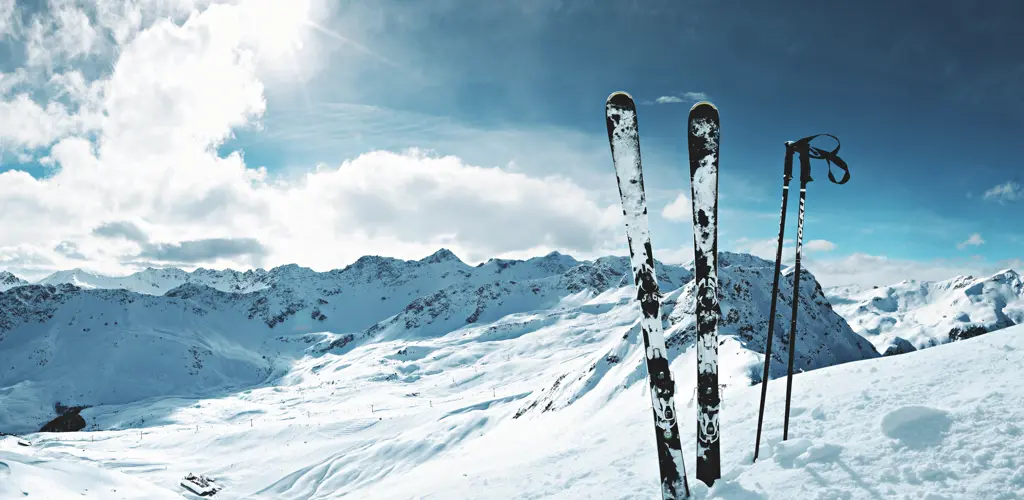 Header Banner