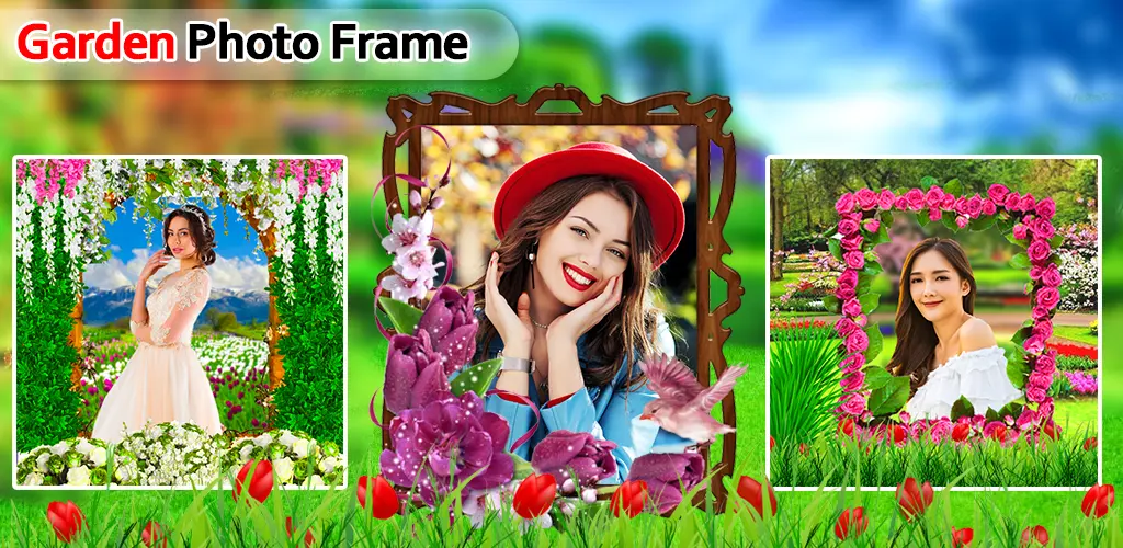 Header Banner
