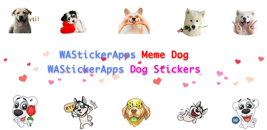 Header Banner