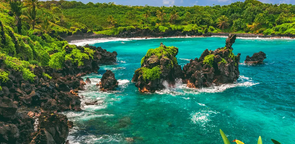 Header Banner