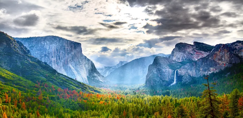 Header Banner