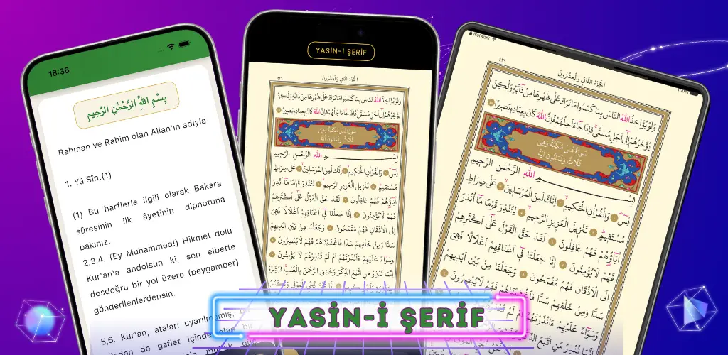 Header Banner