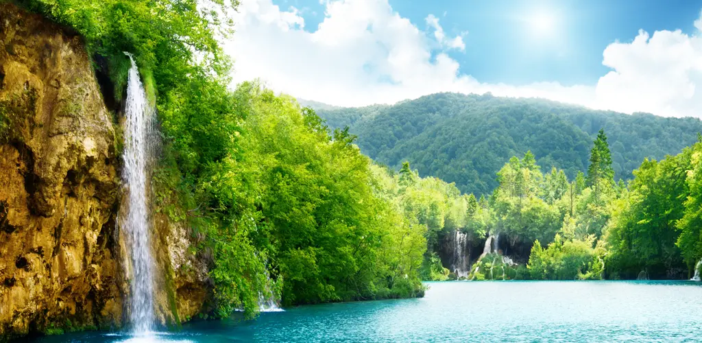 Header Banner
