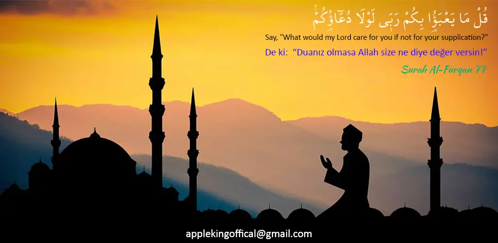 Header Banner