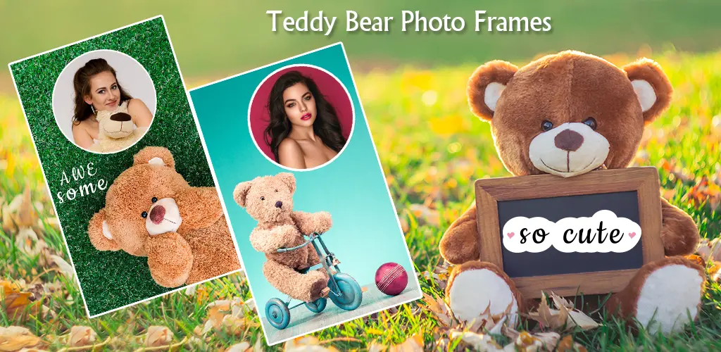 Header Banner