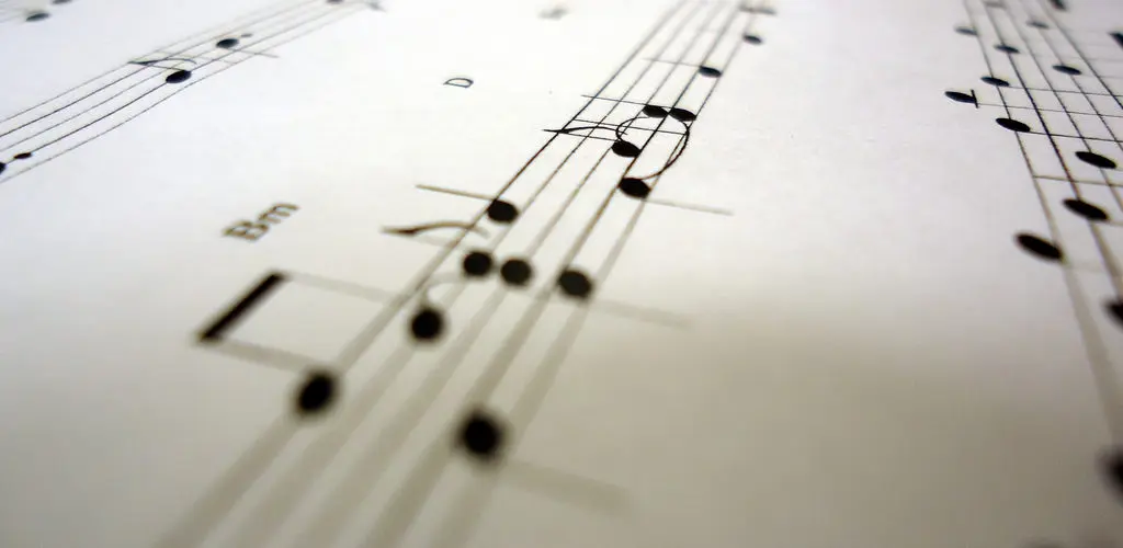 Header Banner