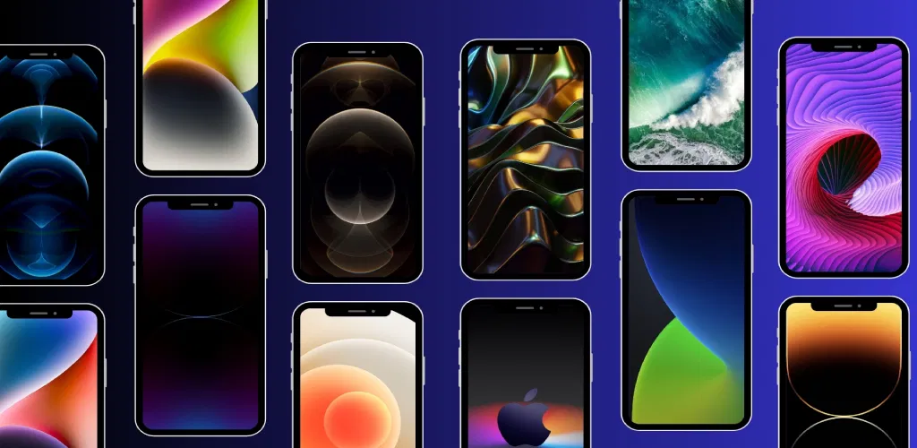 Header Banner