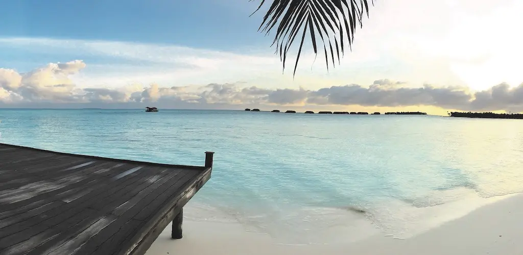Header Banner