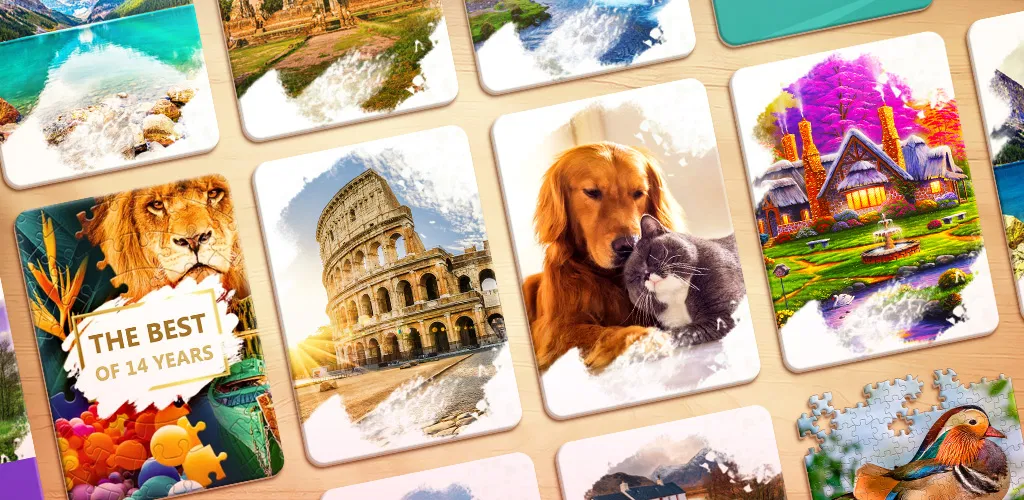 Header Banner