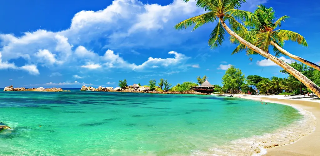 Header Banner