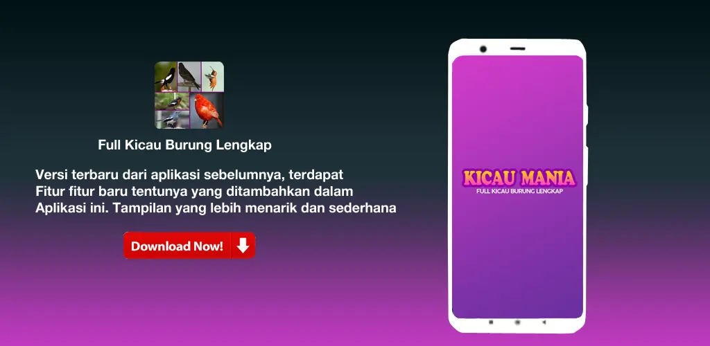 Header Banner
