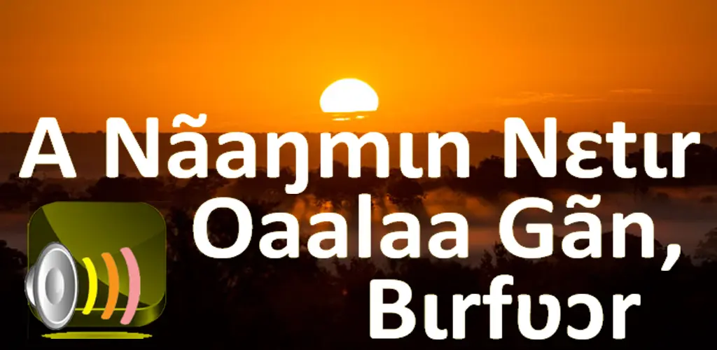 Header Banner