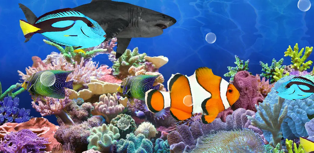 Header Banner