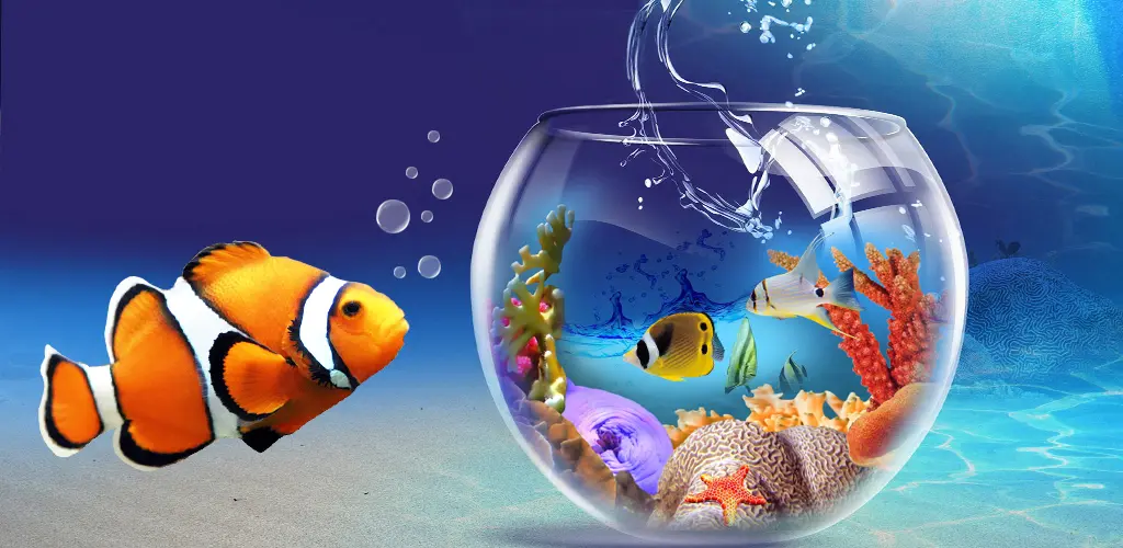 Header Banner