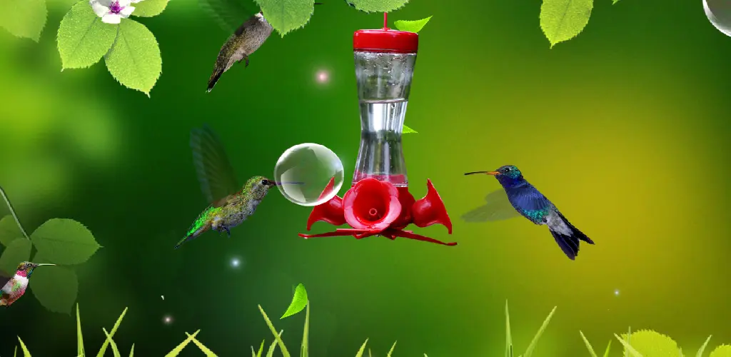 Header Banner