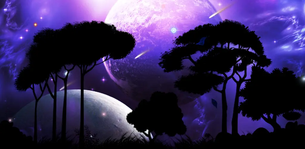 Header Banner
