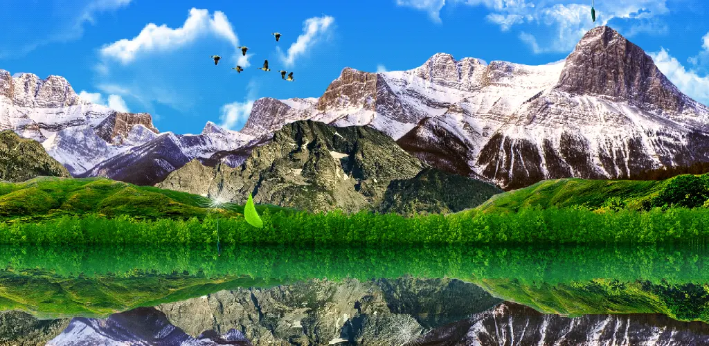 Header Banner