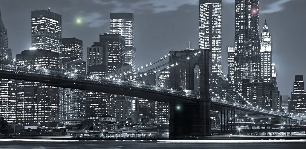 Header Banner