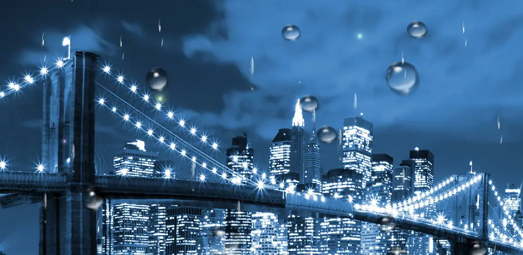 Header Banner