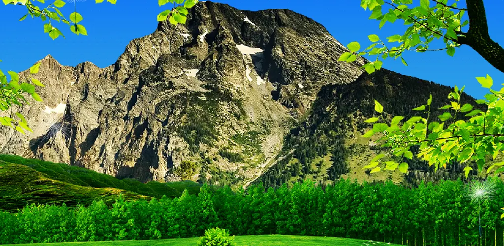 Header Banner