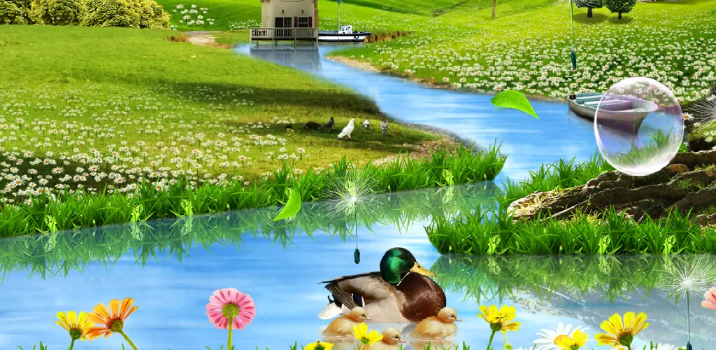Header Banner