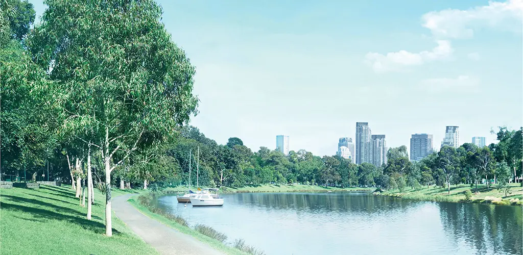 Header Banner