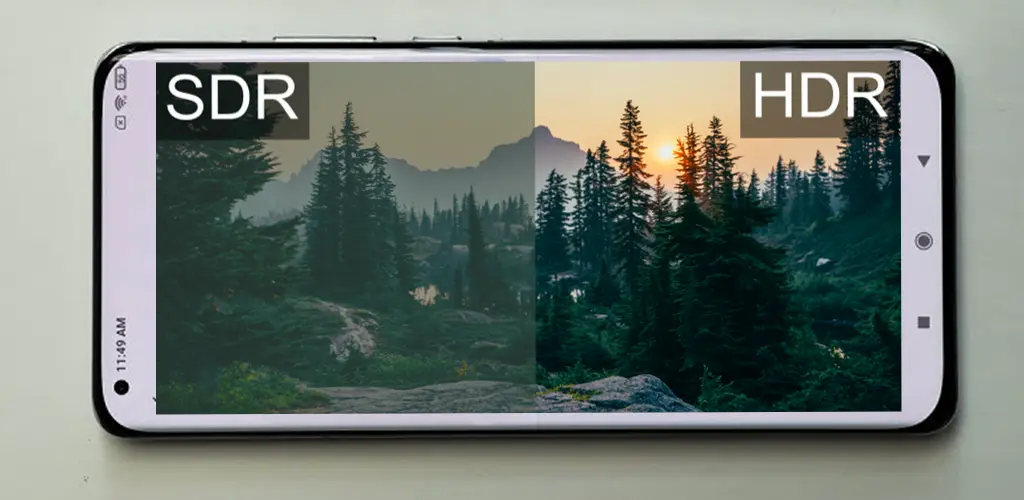 Header Banner