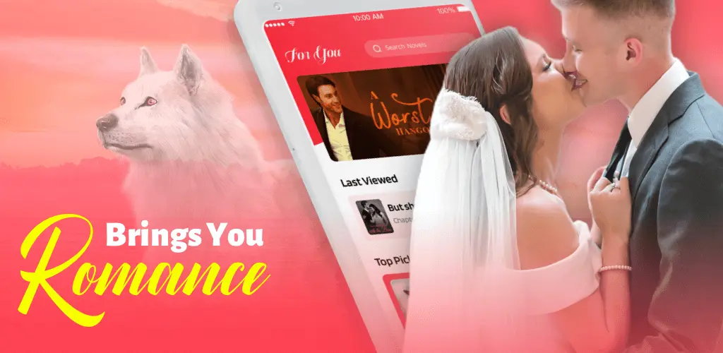 Header Banner