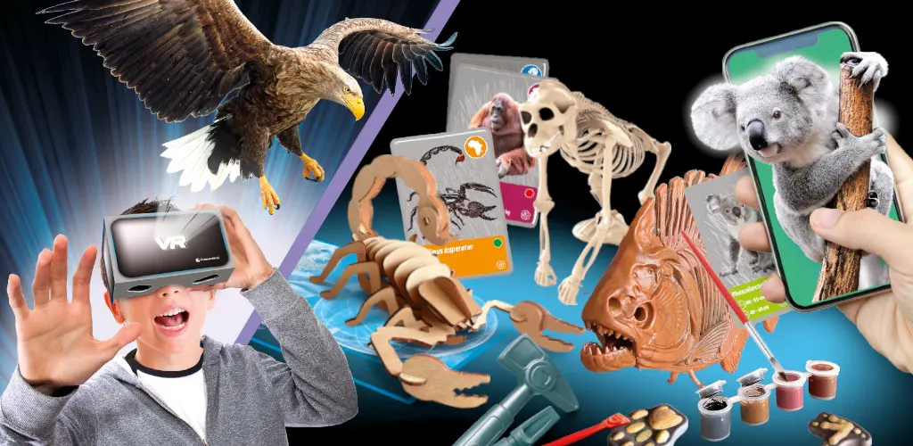 Header Banner