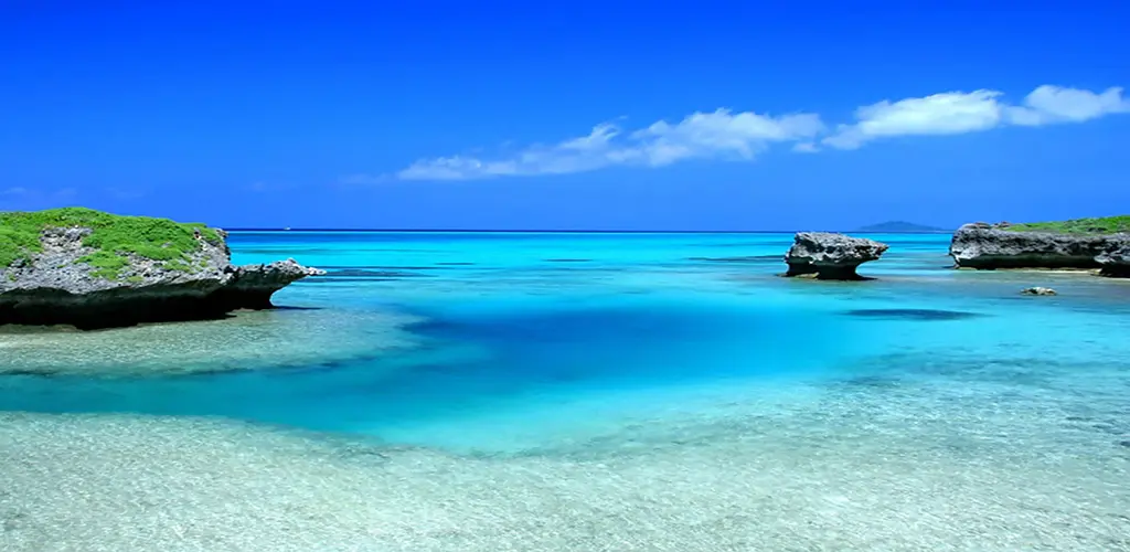 Header Banner