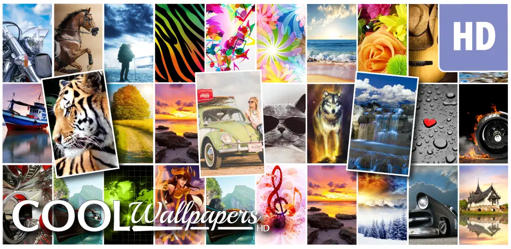 Header Banner