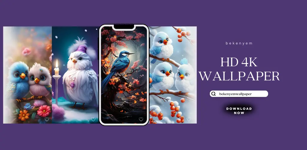 Header Banner