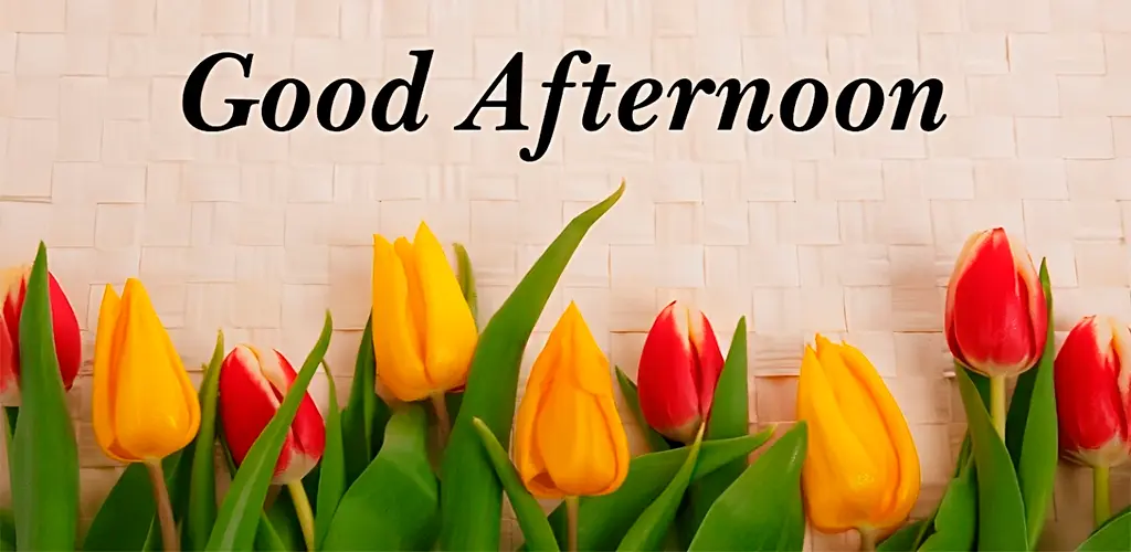 Header Banner