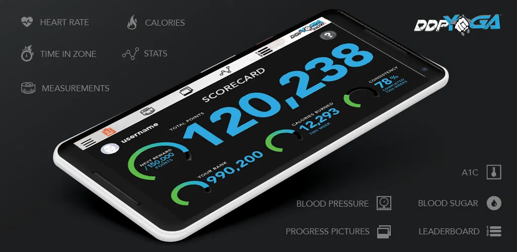 Header Banner