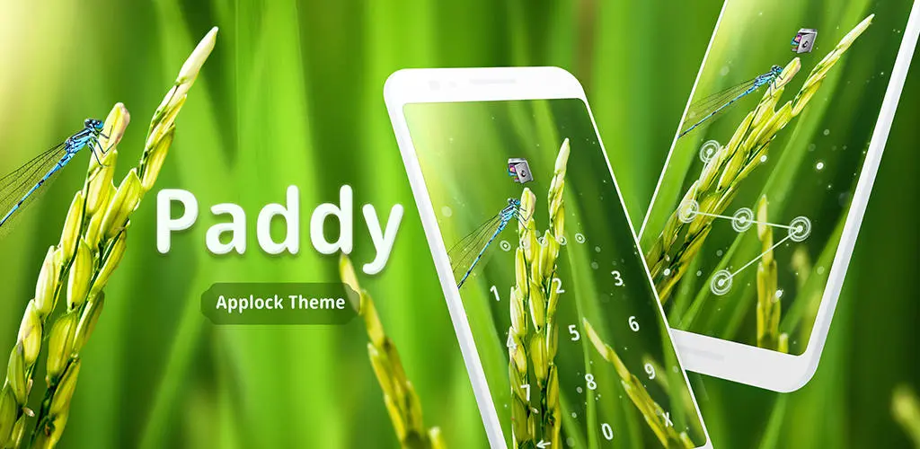 Header Banner