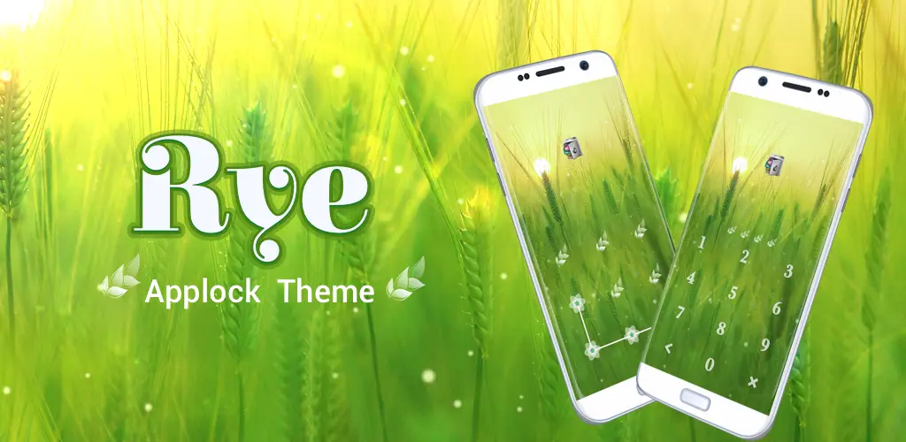 Header Banner
