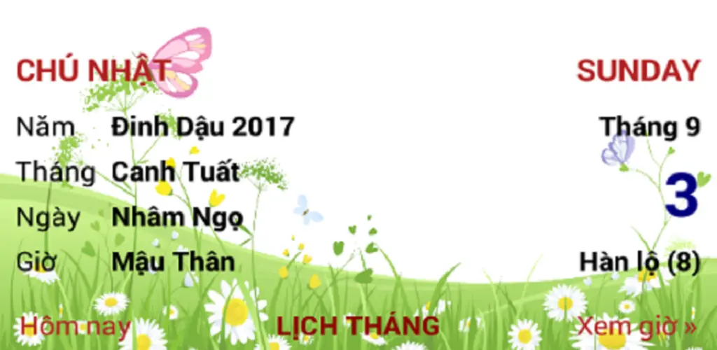 Header Banner
