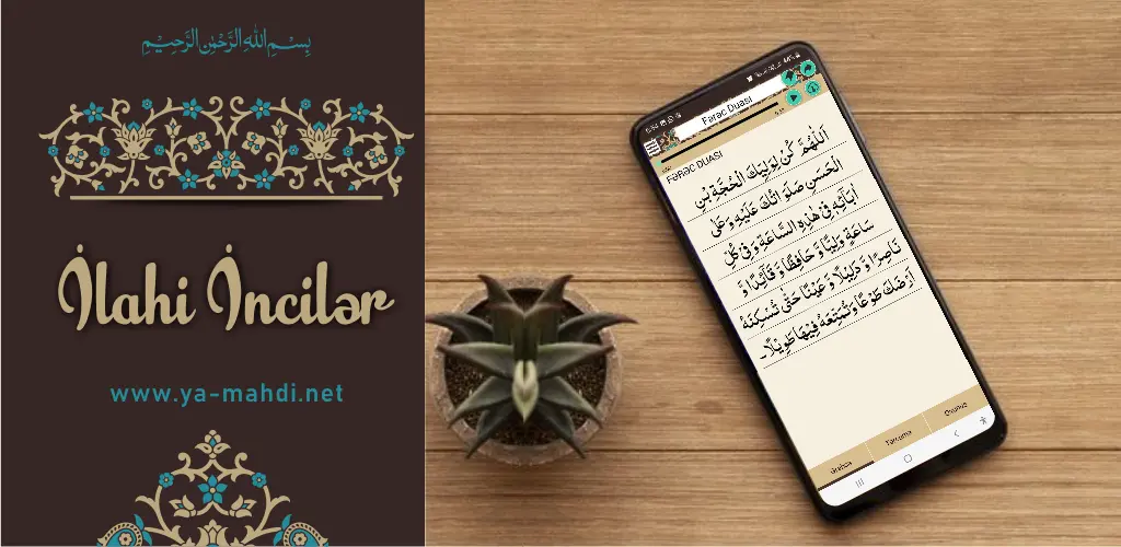 Header Banner